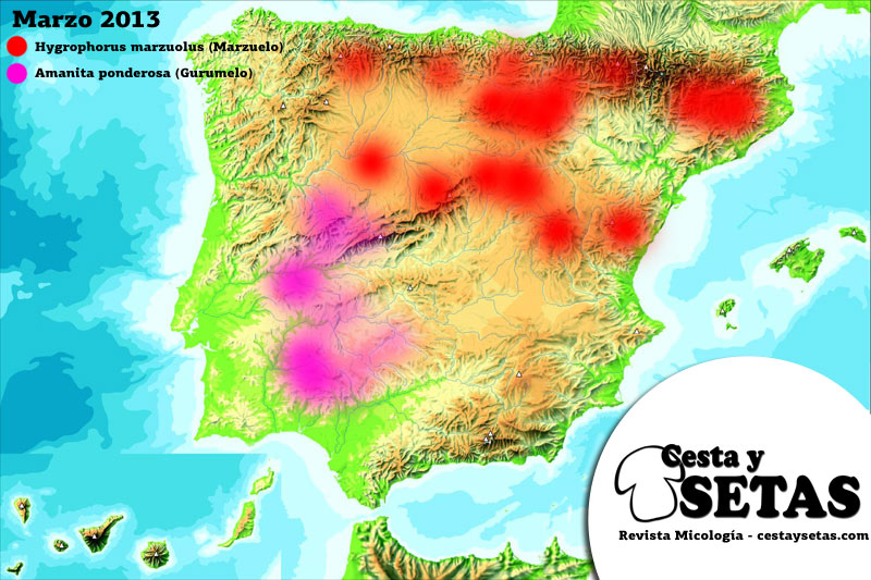 Setas marzo 2013