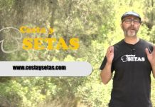 Lunes 18 de Diciembre estreno de La Espora – Cesta y Setas Tv La Espora Cesta y Setas Tv
