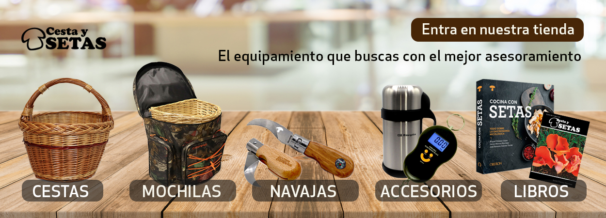 Tienda cesta y setas