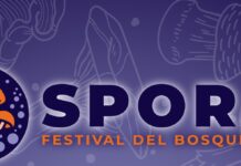 Festival Spora Chapultepec, donde los hongos toman la palabra en Ciudad de México